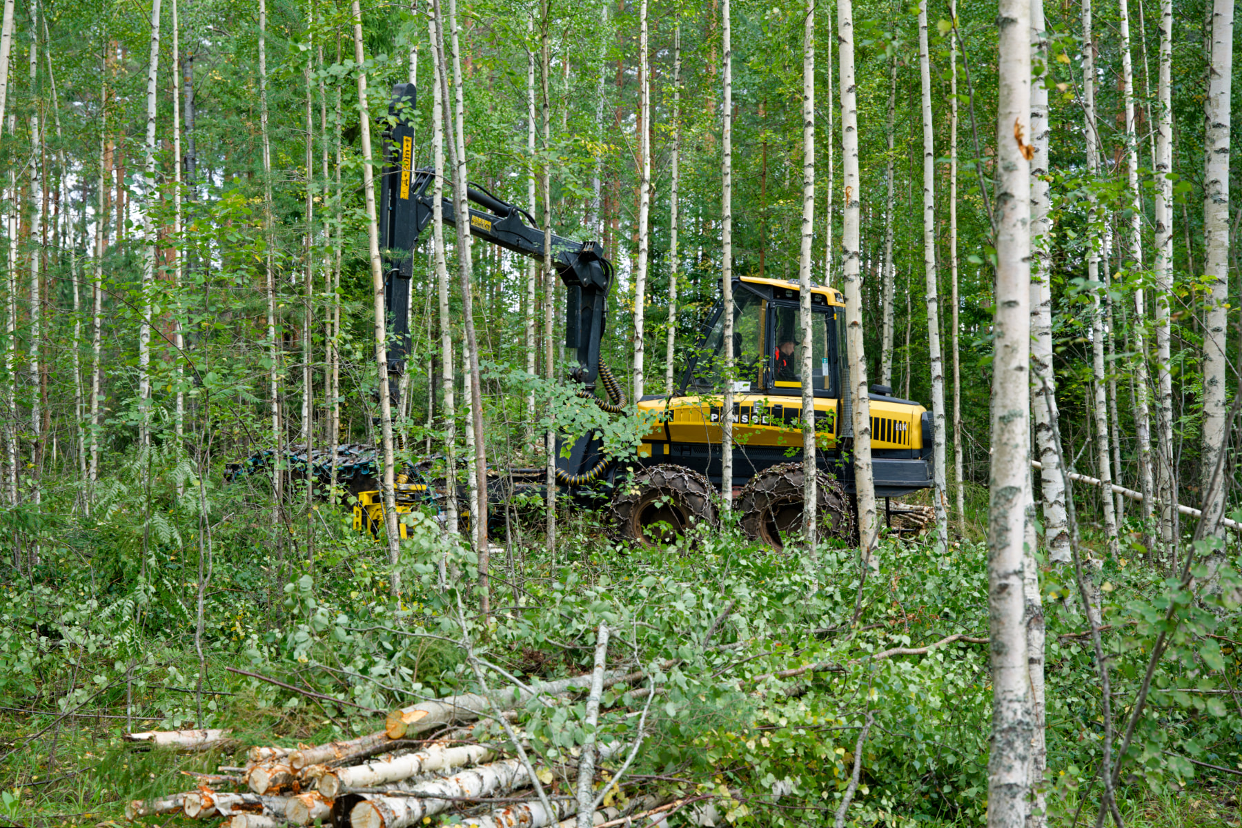 Mitä uutta METKA Metsätalouden kannustejärjestelmä tuo mukanaan