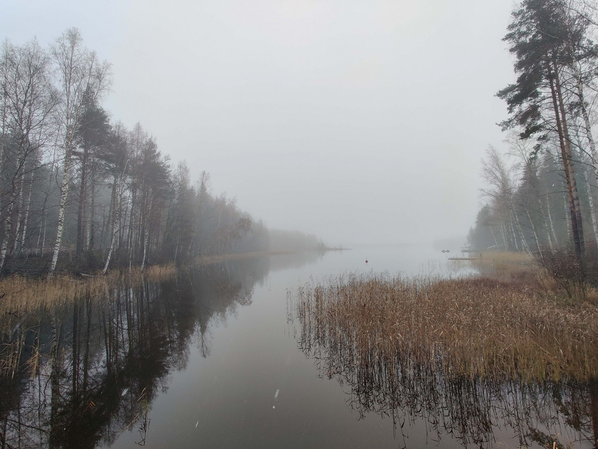 Puumarkkinakatsaus marraskuu 2023