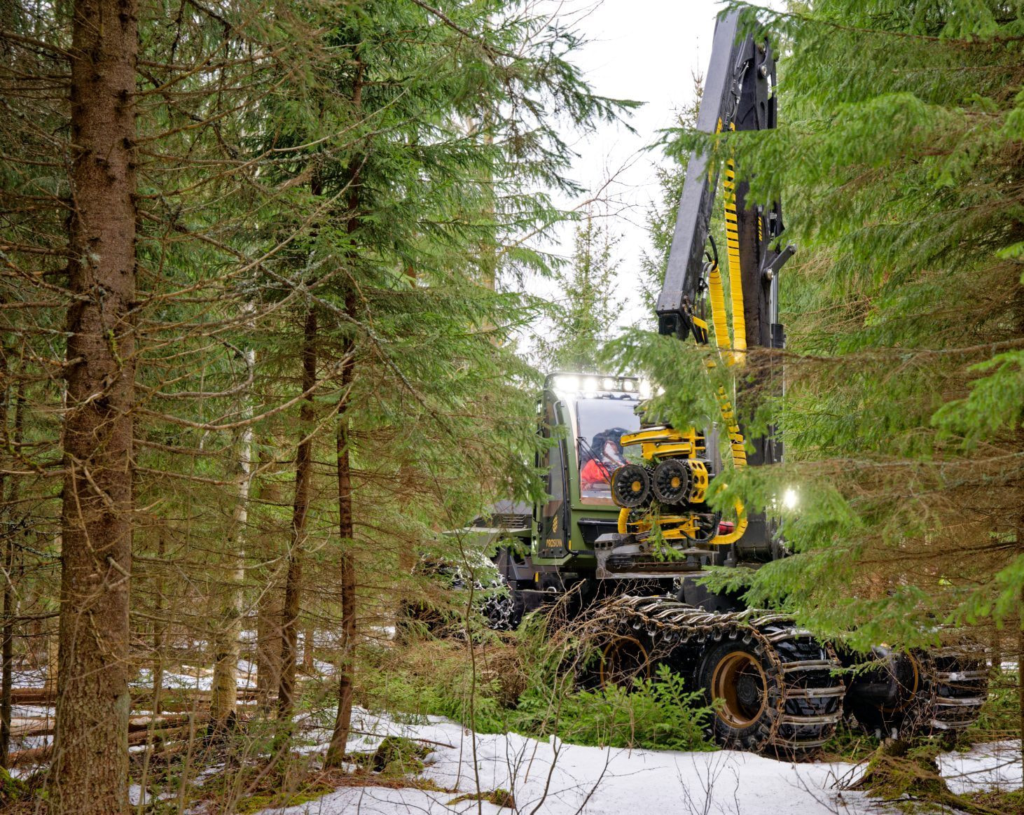 Hakkuunäytös keräsi katsojia Ristiinaan