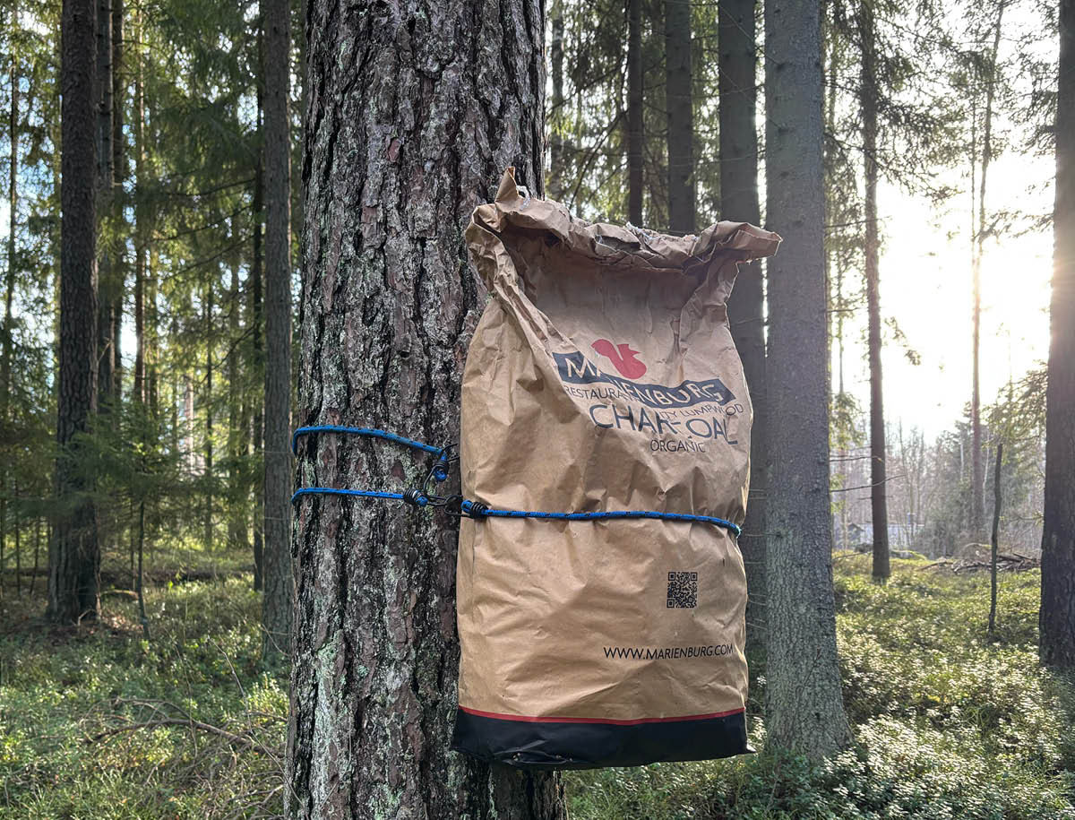 Tee päätös nuorten metsiesi hyväksi nyt, saat leffaliput