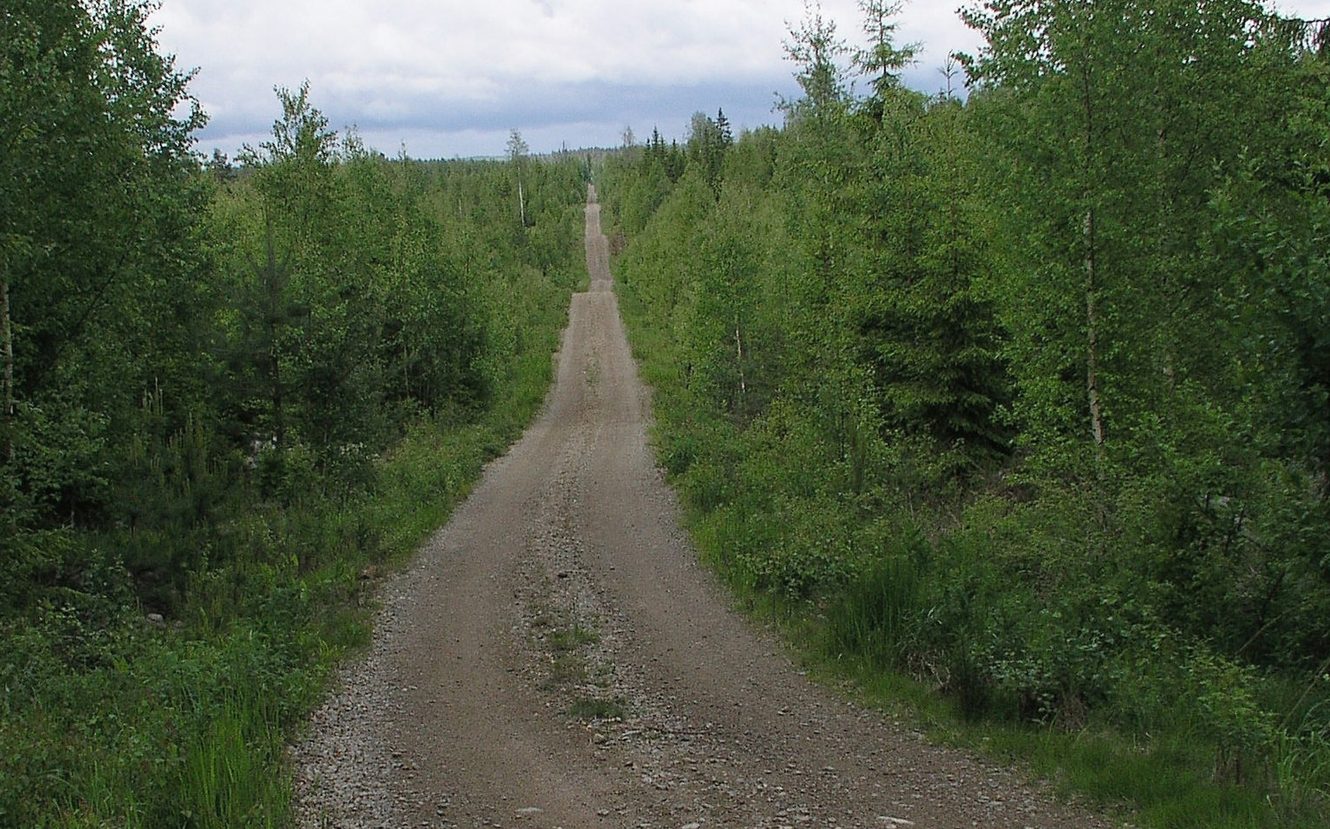 Metsätalouden tukiin muutoksia  vuodenvaihteessa