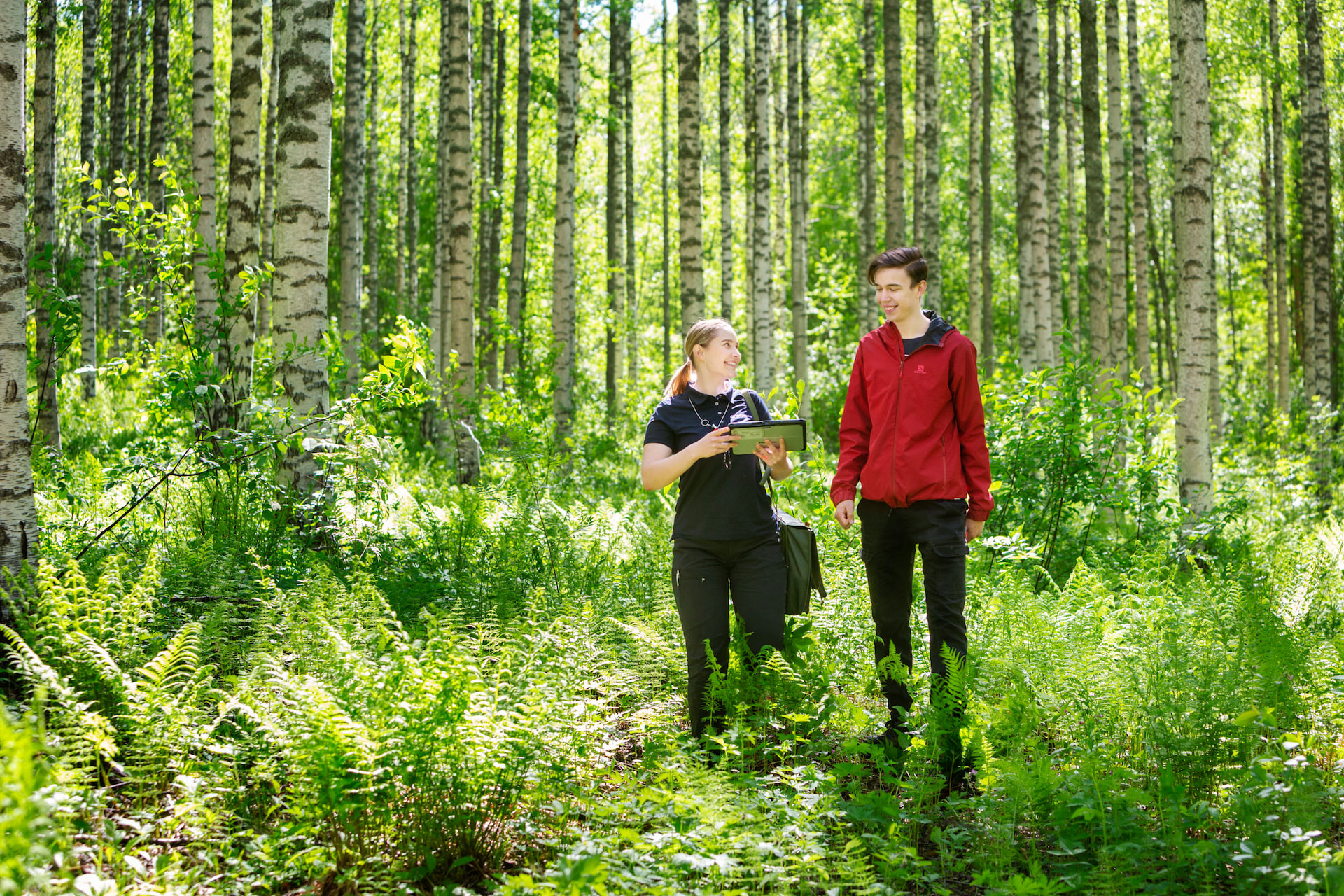 Oma metsäasiantuntijasi tuntee metsäsi