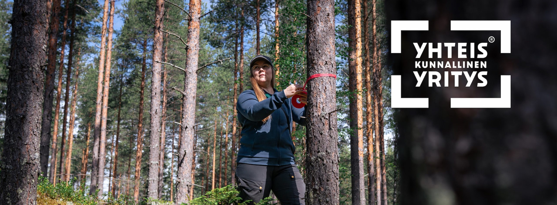 Oma metsäasiantuntijasi tuntee metsäsi