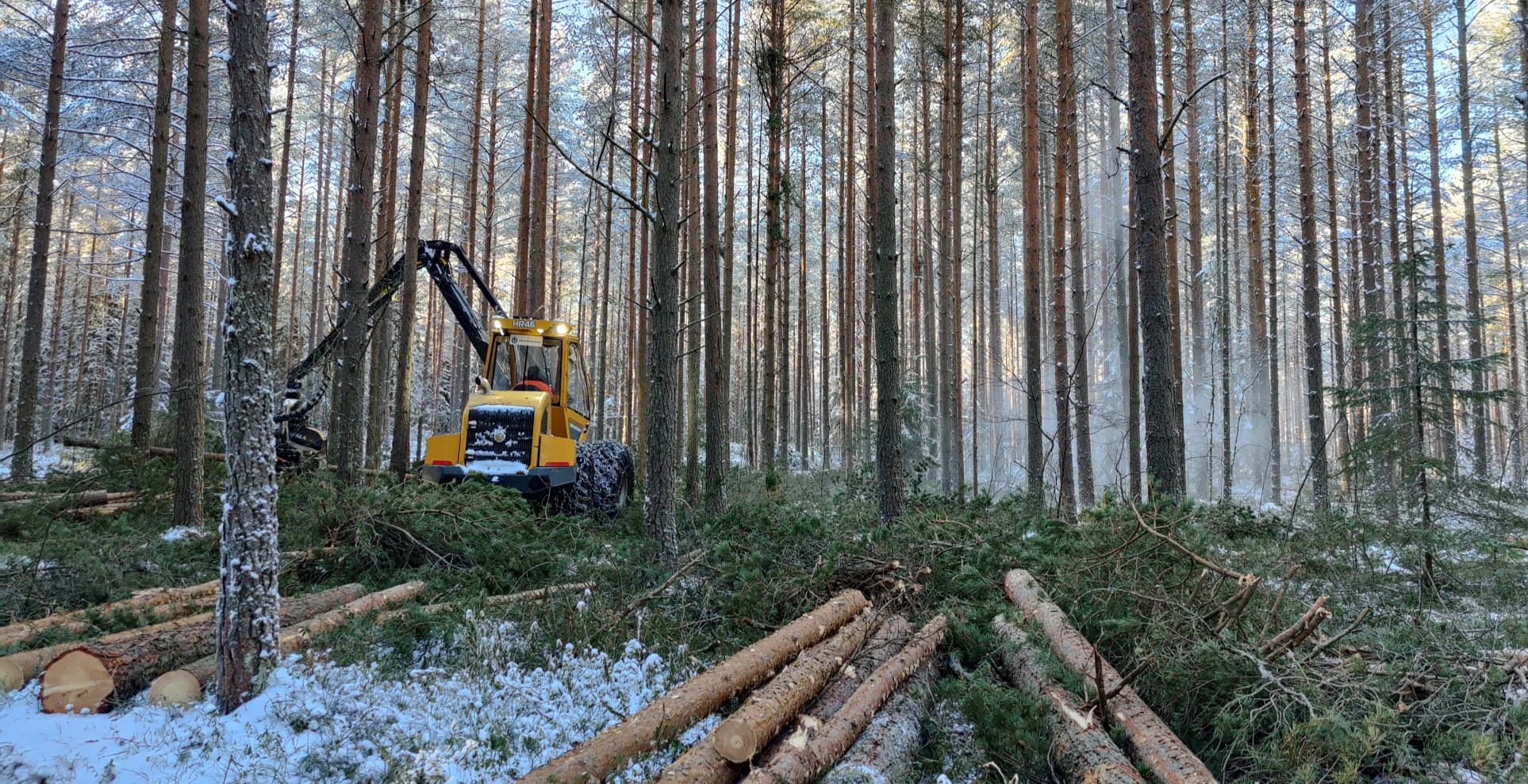                                                                       Metsänhoitoyhdistys tuntee metsäsi