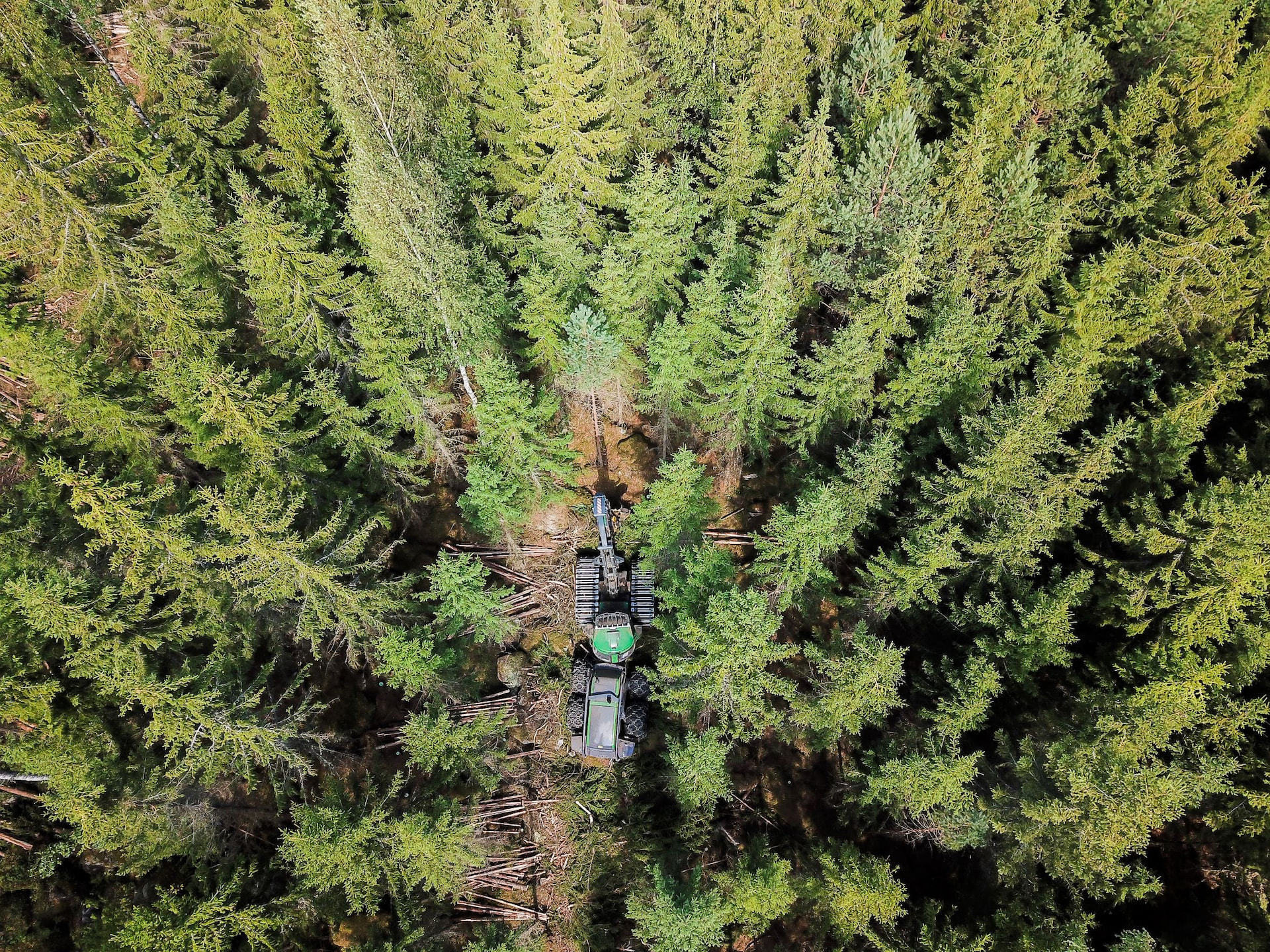 Metsänhoitoyhdistys Päijänne