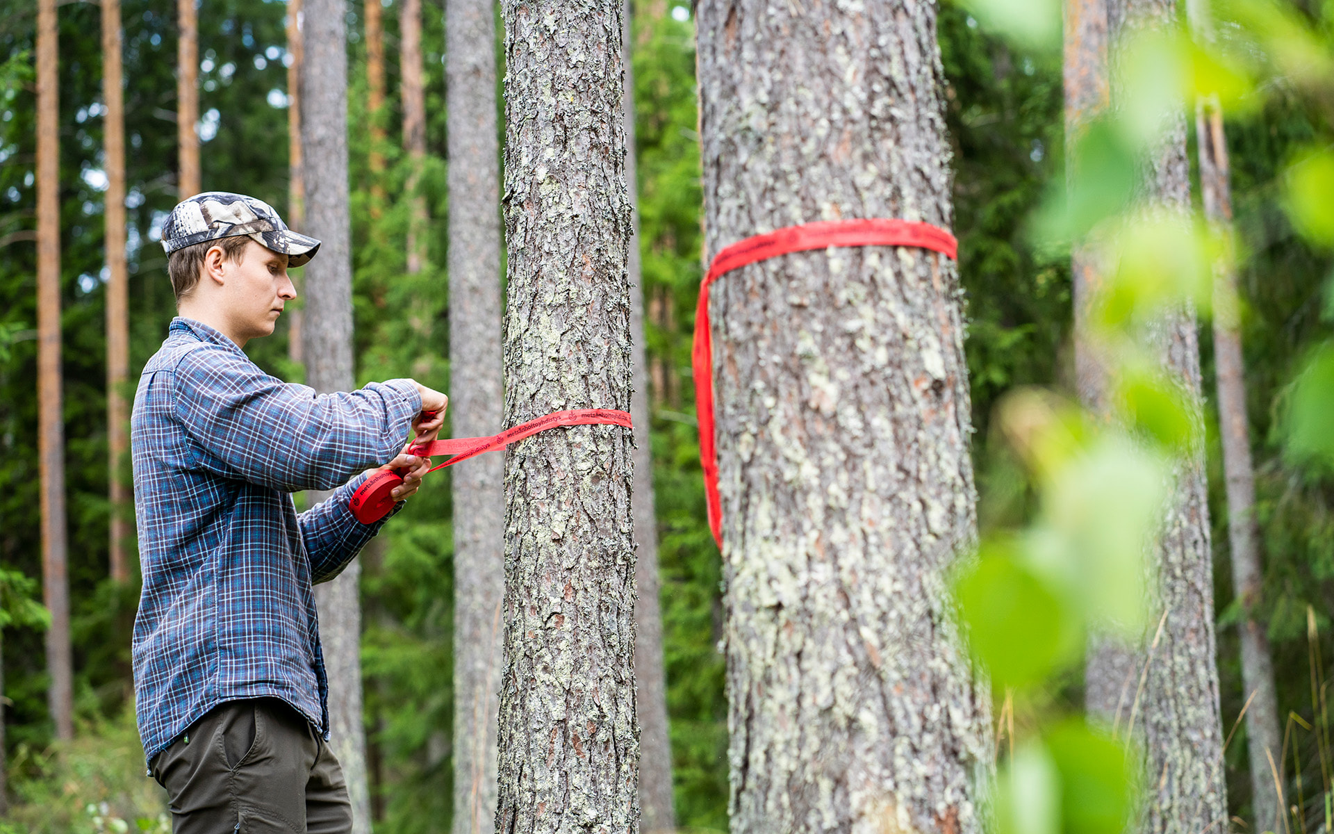 Metsänhoitoyhdistys Yli-Ii tuntee metsäsi