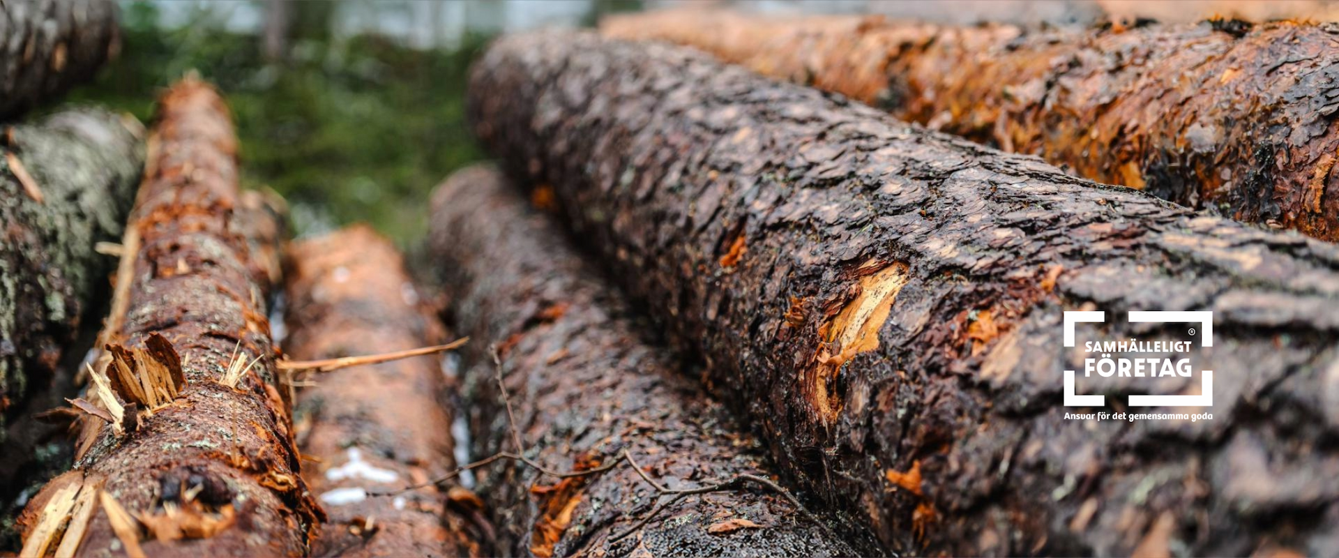 Metsänhoitoyhdistys tuntee metsäsi