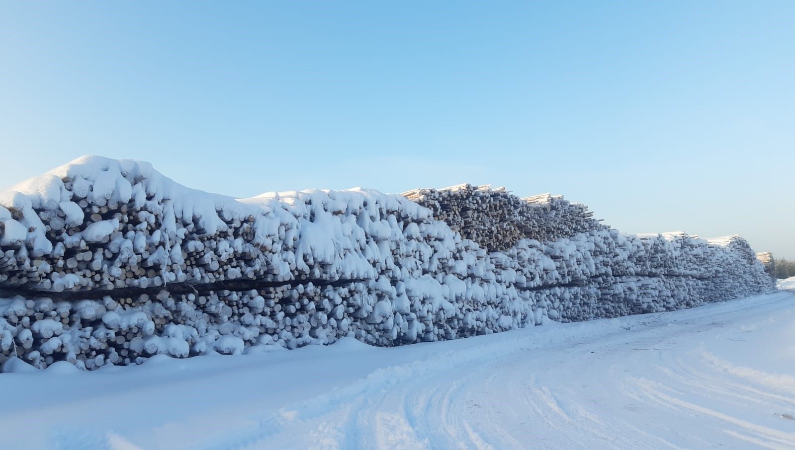 Puukauppavuosi näyttää hyvältä Pohjois-Suomessa