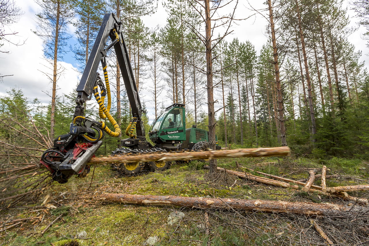 Puun hinta Mhy Keski-Suomessa