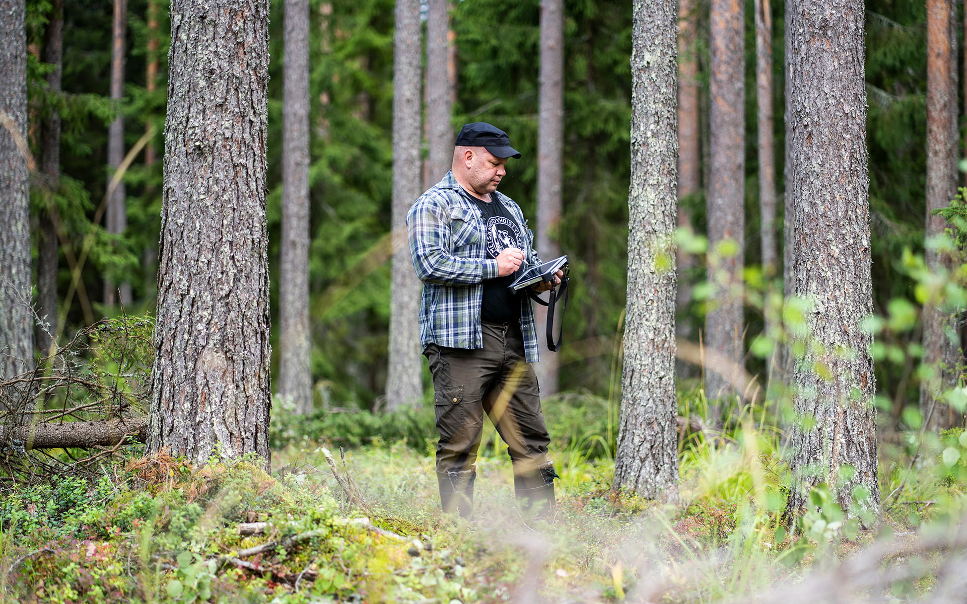 Metsänomistajalla oikeus vaatia oikeudenmukainen korvaus puumarkkinoilta