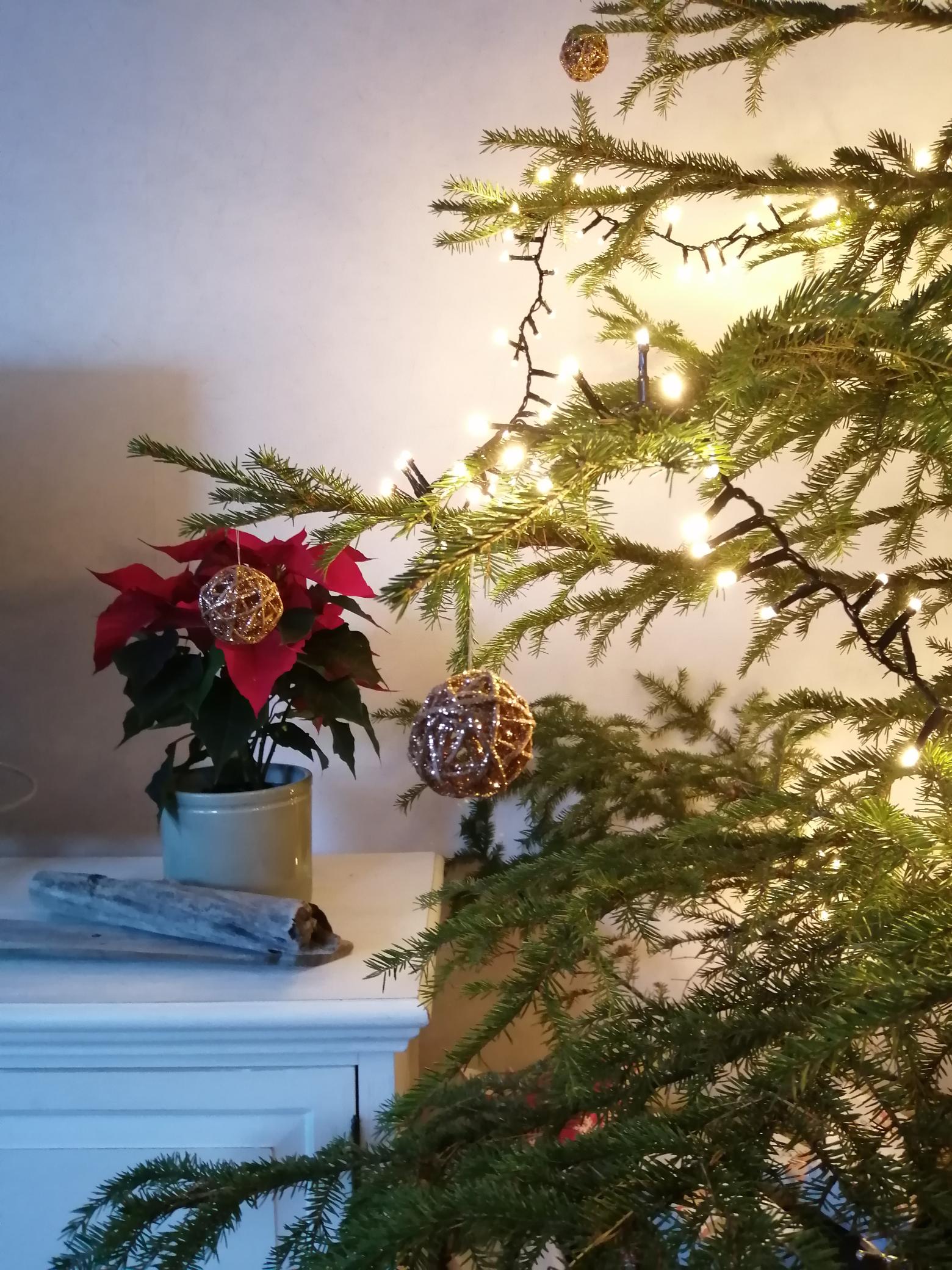 Metsänhoitoyhdistys Oulun seutu toivottaa jäsenet ja yhteistyökumppanit tervetulleiksi joulukahveille!