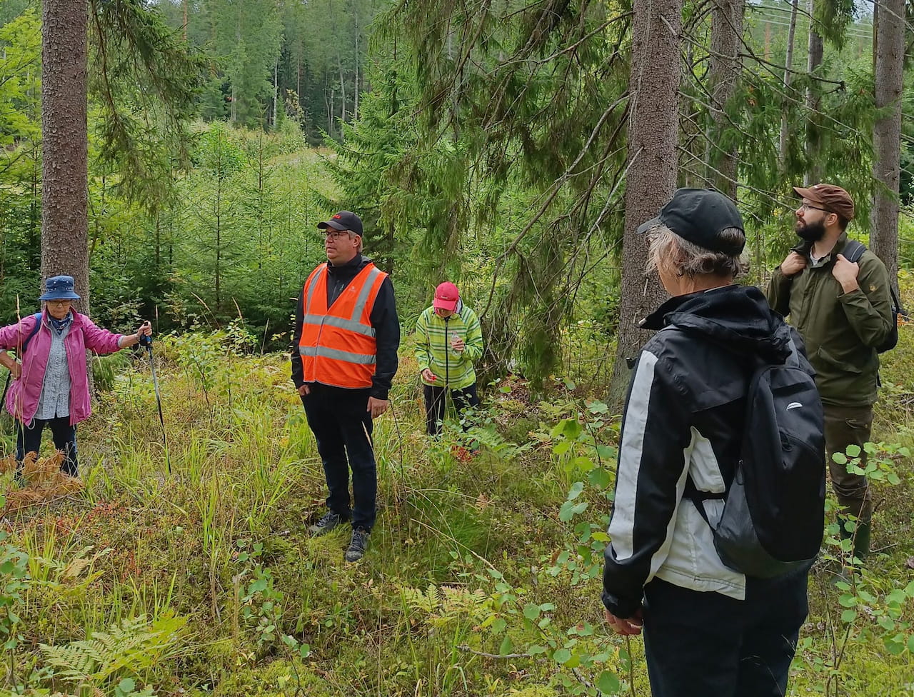 Heinolassa tarkasteltiin metsien ilmastokestävyyttä metsäkävelyllä