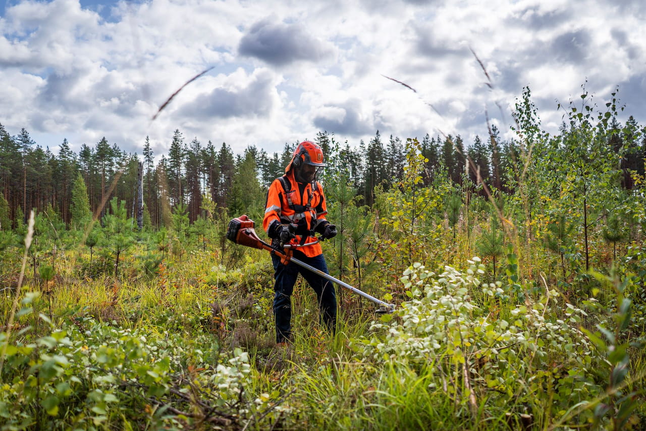Mhy Savotta on metsänhoitoyhdistysten ykkönen kemera-töissä