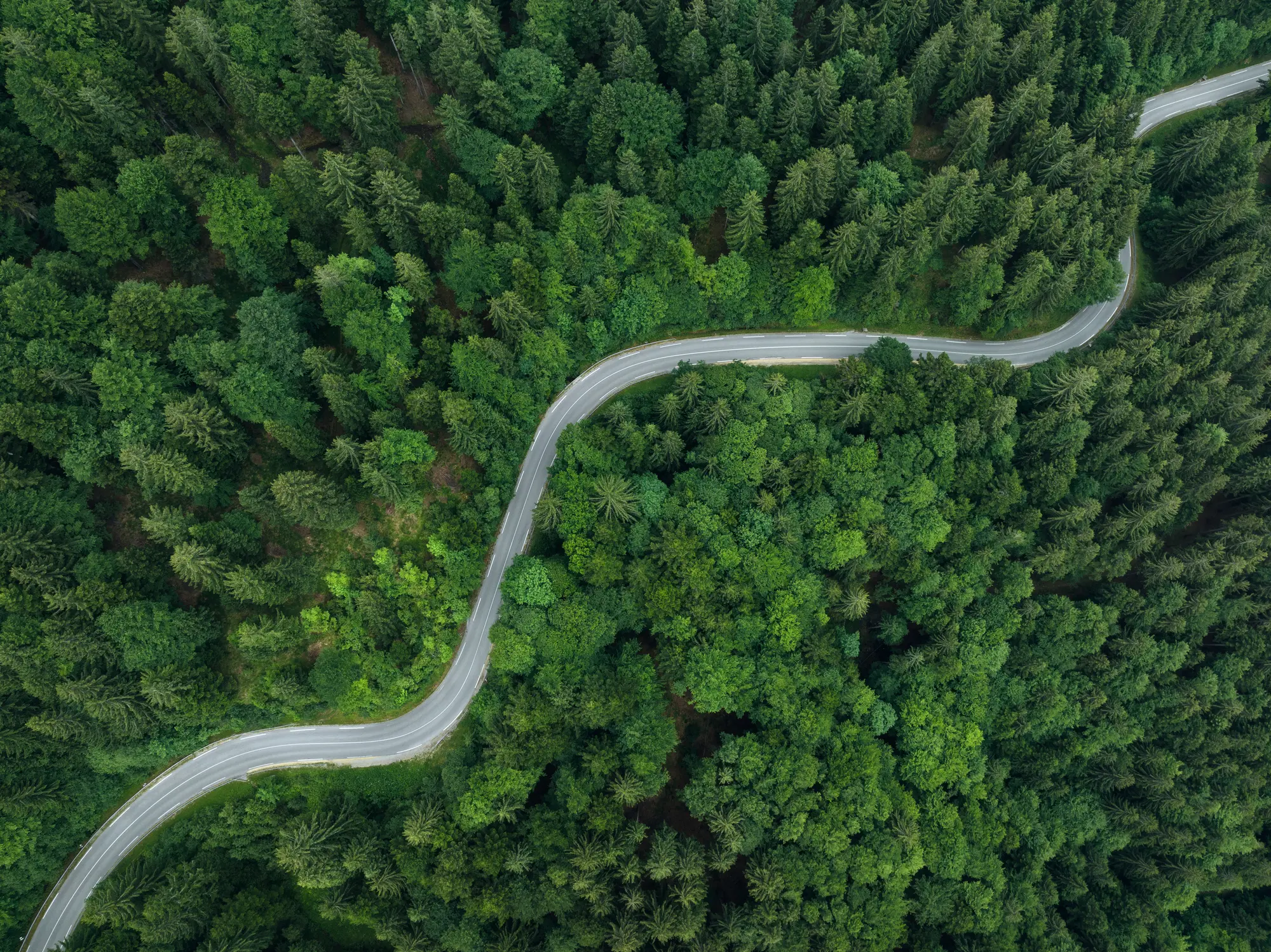 Idyllic winding road in spring. Aerial view.