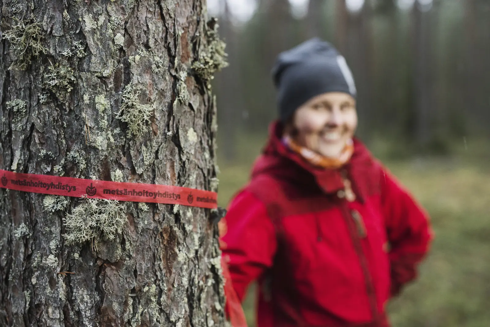 mhy metsäasiantuntija metsässä