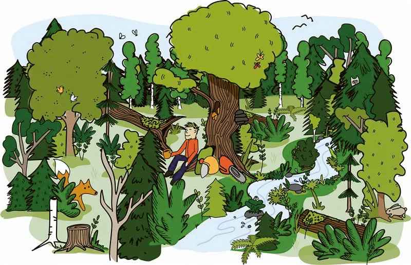 Piirroskuva monimuotoisesta metsästä