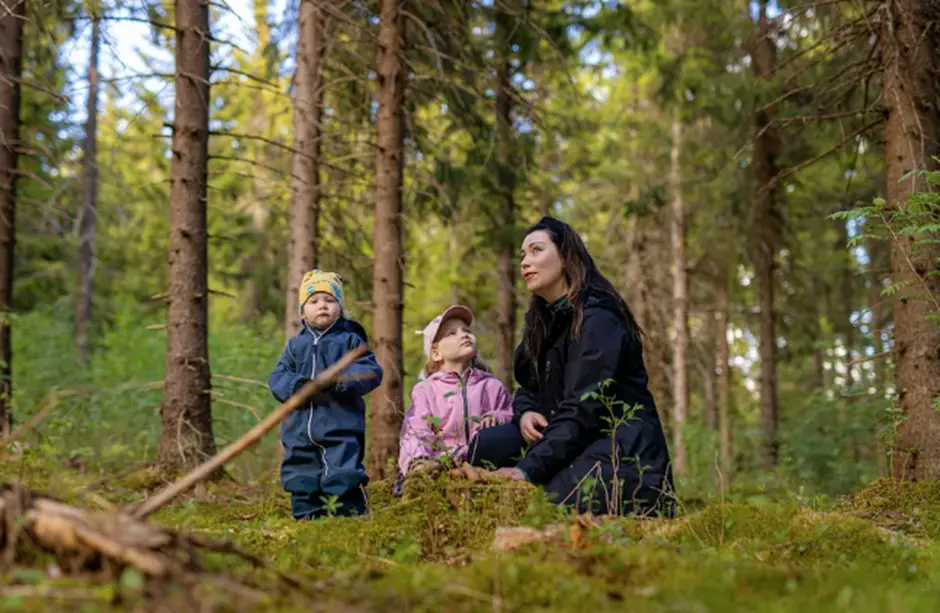 Perhe metsäretkellä