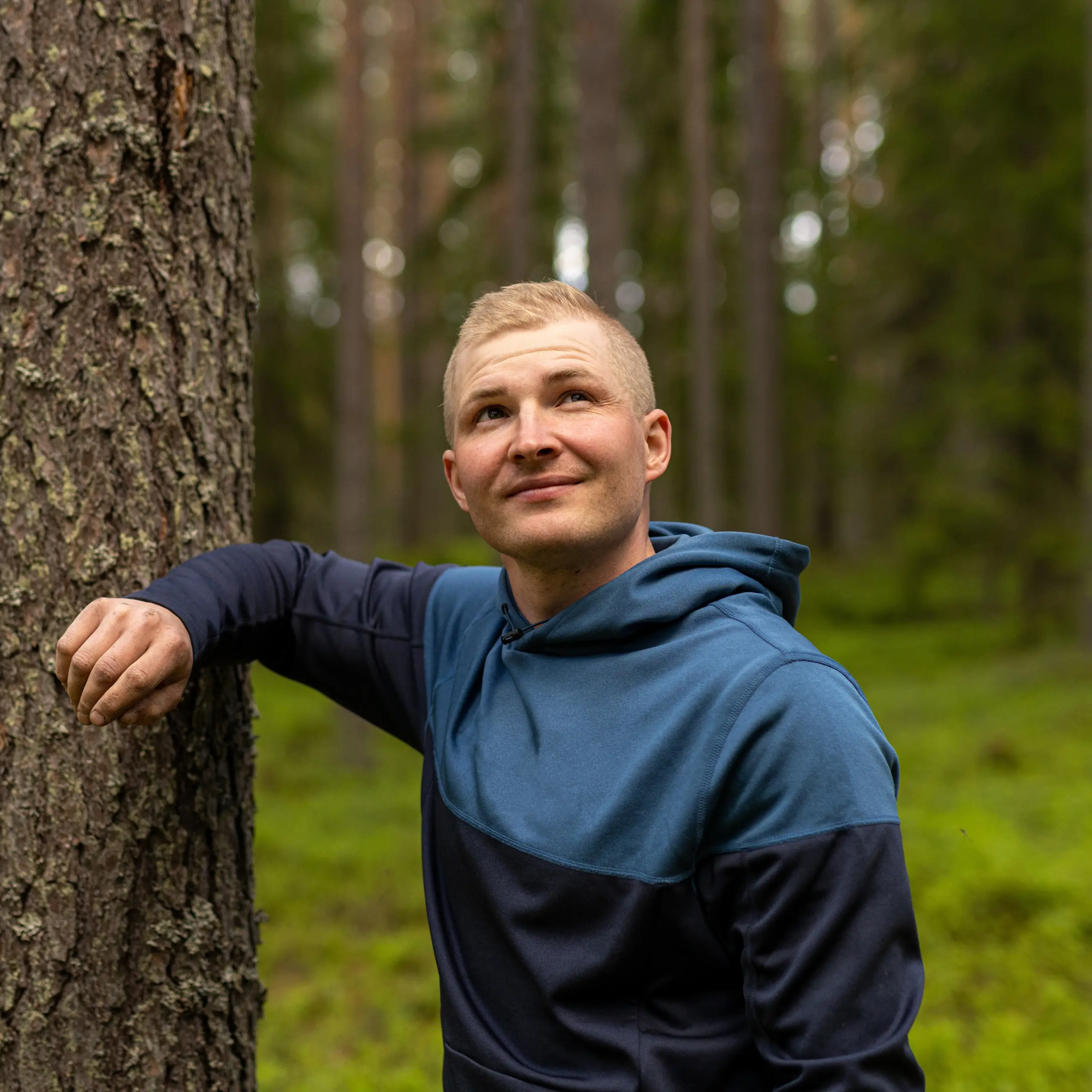 Mies nojaa mäntyyn metsässä
