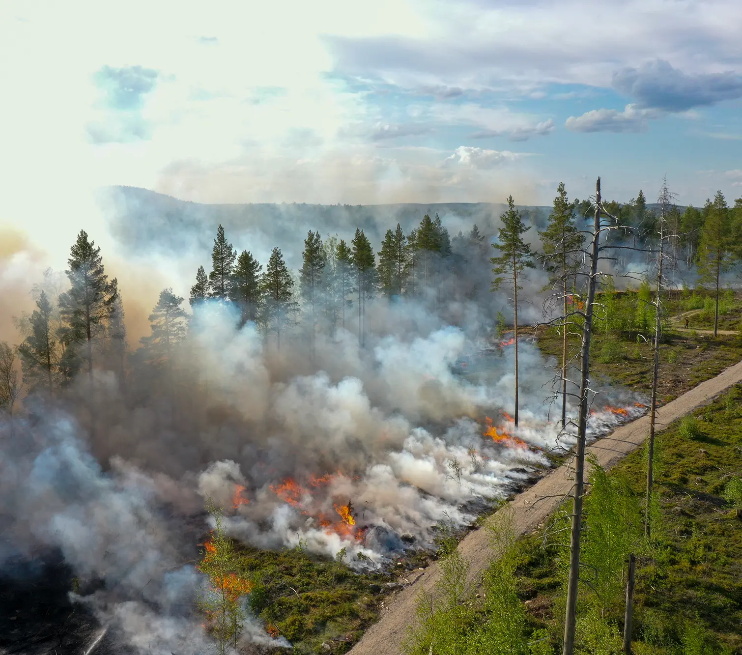 Kuva: Petri Leinonen