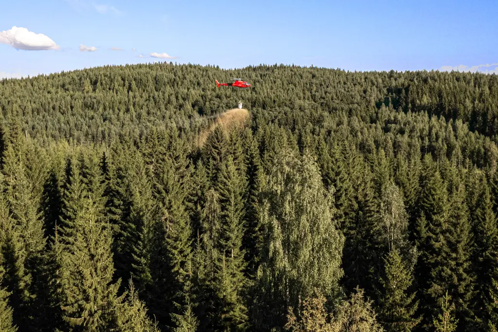 Helikopteri lannoittaa metsää