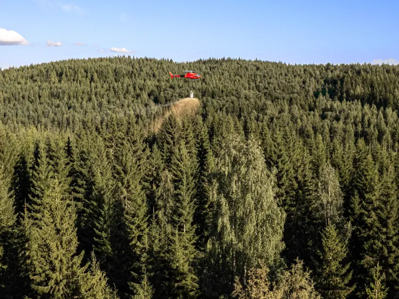 Kasvua ja kestävyyttä – metsän lannoitus tuo enemmän puuta ja parempaa terveyttä