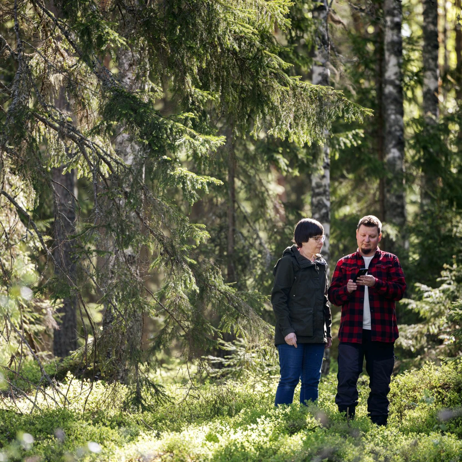 metsänomistaja metsäasiantuntijan kanssa metsässä tekemässä puukauppaa.