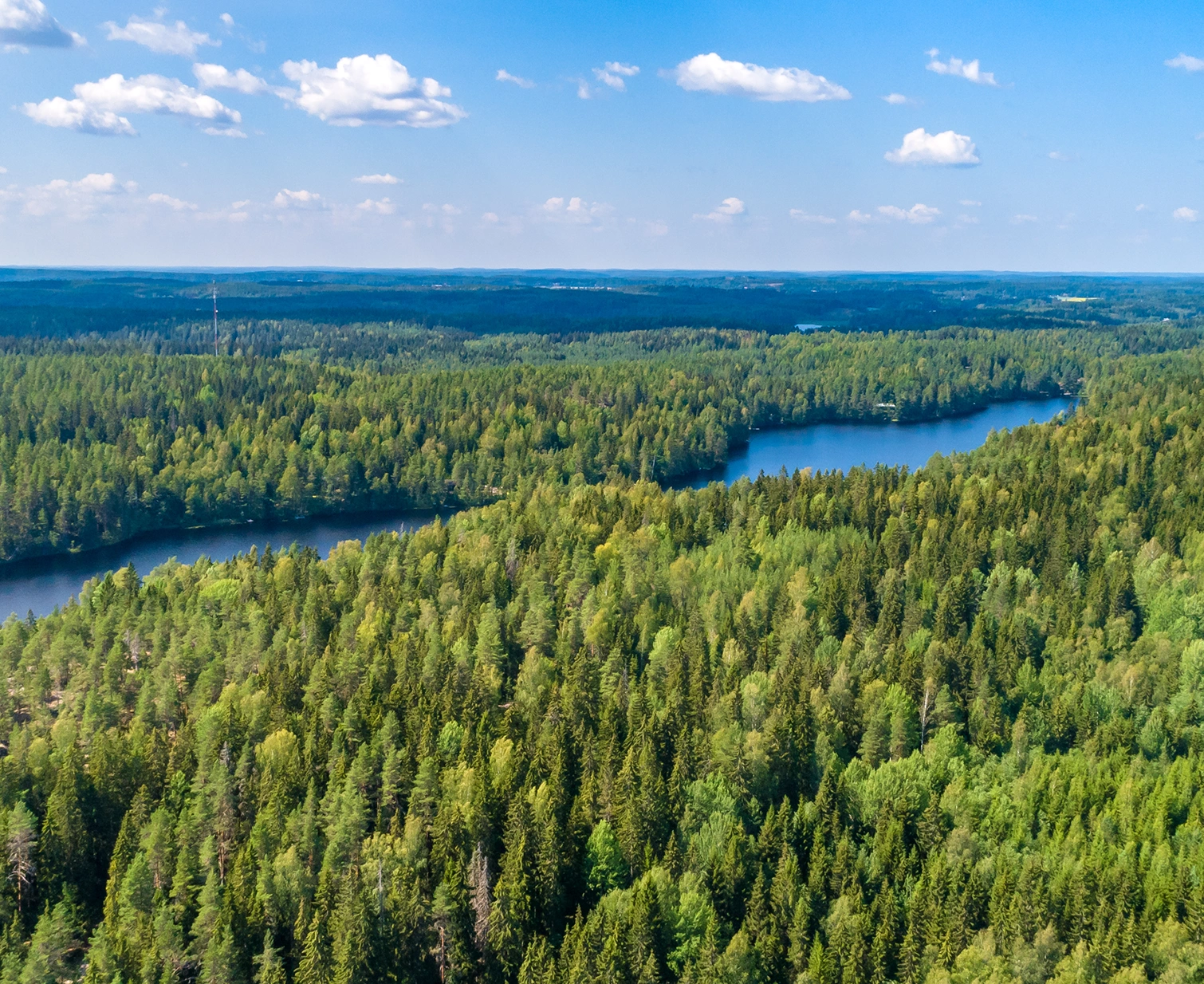 Metsämaisema, jossa näkyy vesistö
